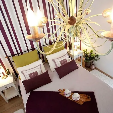 Luxury Seaside House Holiday home Primosten