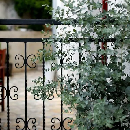 Luxury Seaside House Primosten